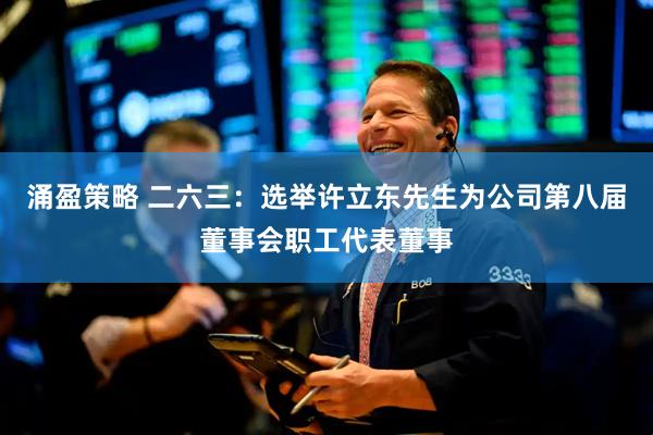 涌盈策略 二六三：选举许立东先生为公司第八届董事会职工代表董事