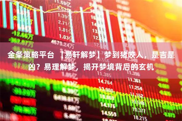 金夆策略平台 【易轩解梦】梦到猪咬人，是吉是凶？易理解梦，揭开梦境背后的玄机