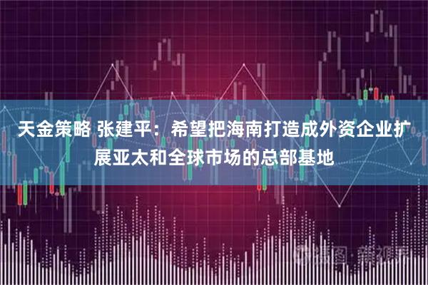 天金策略 张建平：希望把海南打造成外资企业扩展亚太和全球市场的总部基地